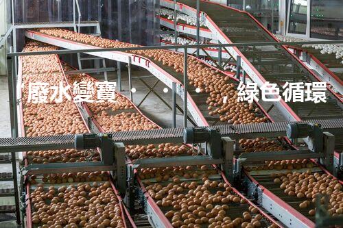 “廢水變寶，綠色循環(huán)，環(huán)保新篇章！”